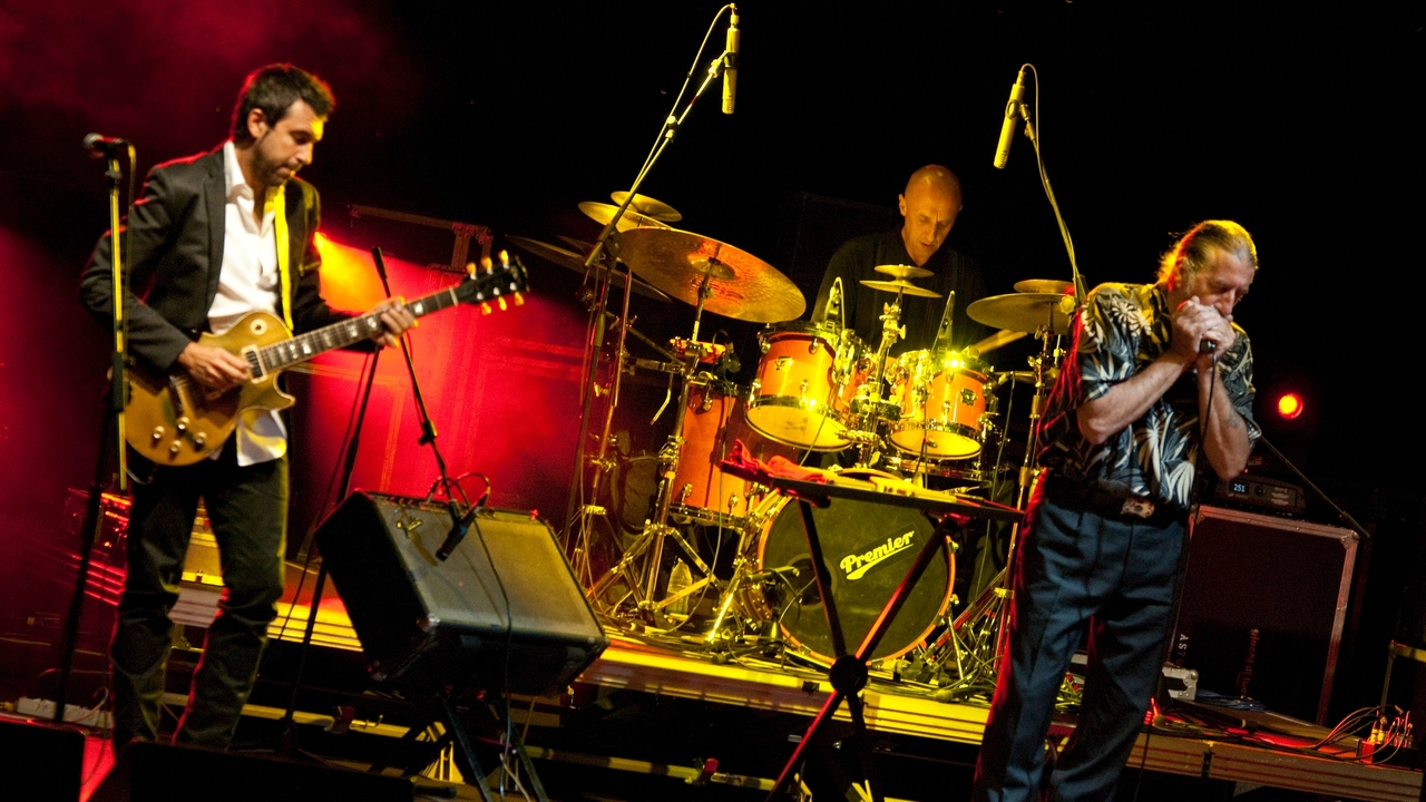 Pavia, una serata di grande blues per l'oncologia pediatrica del San Matteo