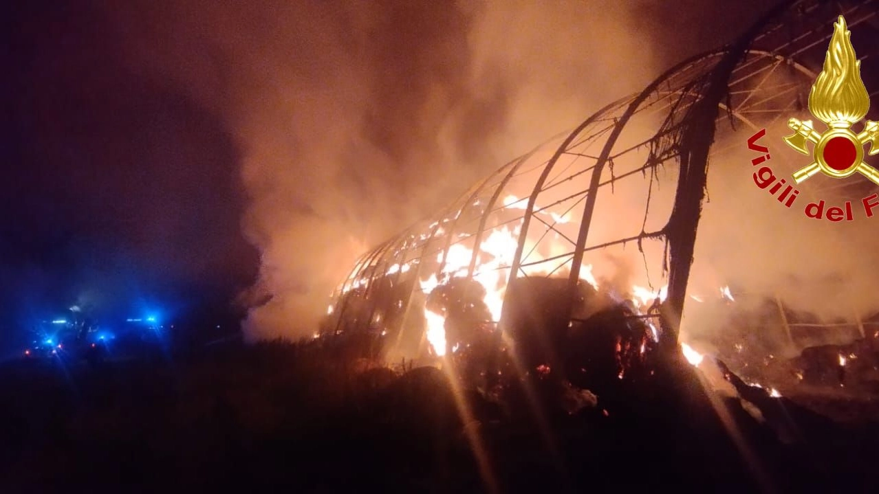 Le fiamme si sono divorate 750 rotoballe di fieno, destinato a mucche e asini Le fiamme si sono divorate 750 rotoballe di fieno, destinato a mucche e asini