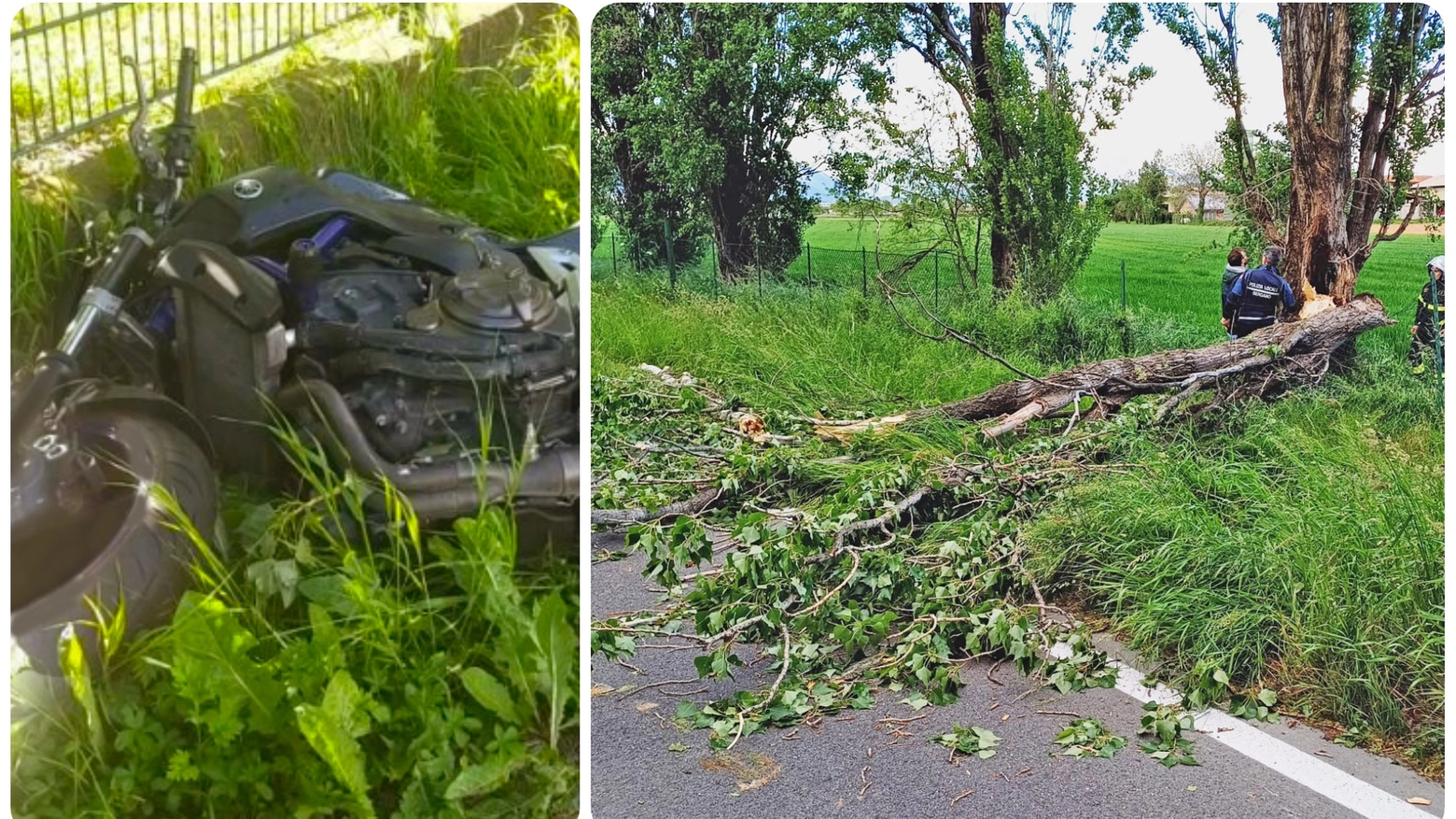 L'albero caduto in via Stezzano a Bergamo e la moto della vittima
