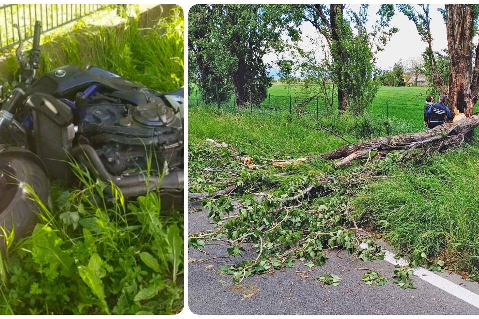 L'albero caduto in via Stezzano a Bergamo e la moto della vittima