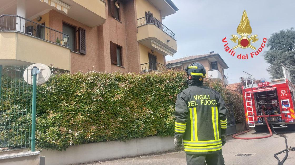 Incendio a Cesano Maderno, fiamme in un appartamento di un palazzo: morto il gatto Incendio a Cesano Maderno, fiamme in un appartamento di un palazzo: morto il gatto