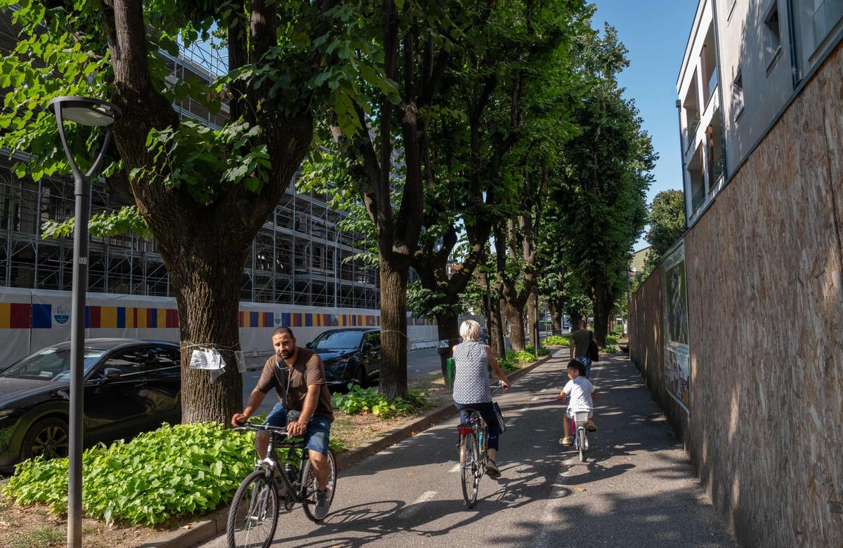 Nuovi passi carrai al posto dei tigli : "Sono parte del viale da decenni" Nuovi passi carrai al posto dei tigli : "Sono parte del viale da decenni"