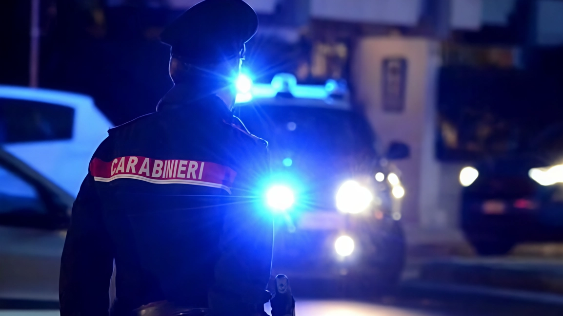 Un uomo ubriaco si presenta in caserma e incita il suo cane contro i carabinieri. L'episodio si conclude con l'arresto dell'uomo per resistenza a pubblico ufficiale. Un uomo ubriaco si presenta in caserma e incita il suo cane contro i carabinieri. L'episodio si conclude con l'arresto dell'uomo per resistenza a pubblico ufficiale.