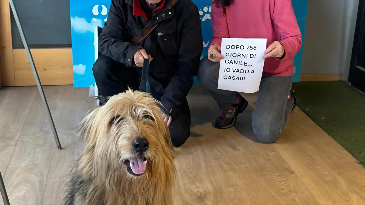 Enzo Paolo con i suoi nuovi proprietari, Flavio e Luisa, dopo 2 anni e mezzo in canile Era stato accalappiato, ma il padrone non si è mai presentato per riportarlo a casa Enzo Paolo con i suoi nuovi proprietari, Flavio e Luisa, dopo 2 anni e mezzo in canile Era stato accalappiato, ma il padrone non si è mai presentato per riportarlo a casa