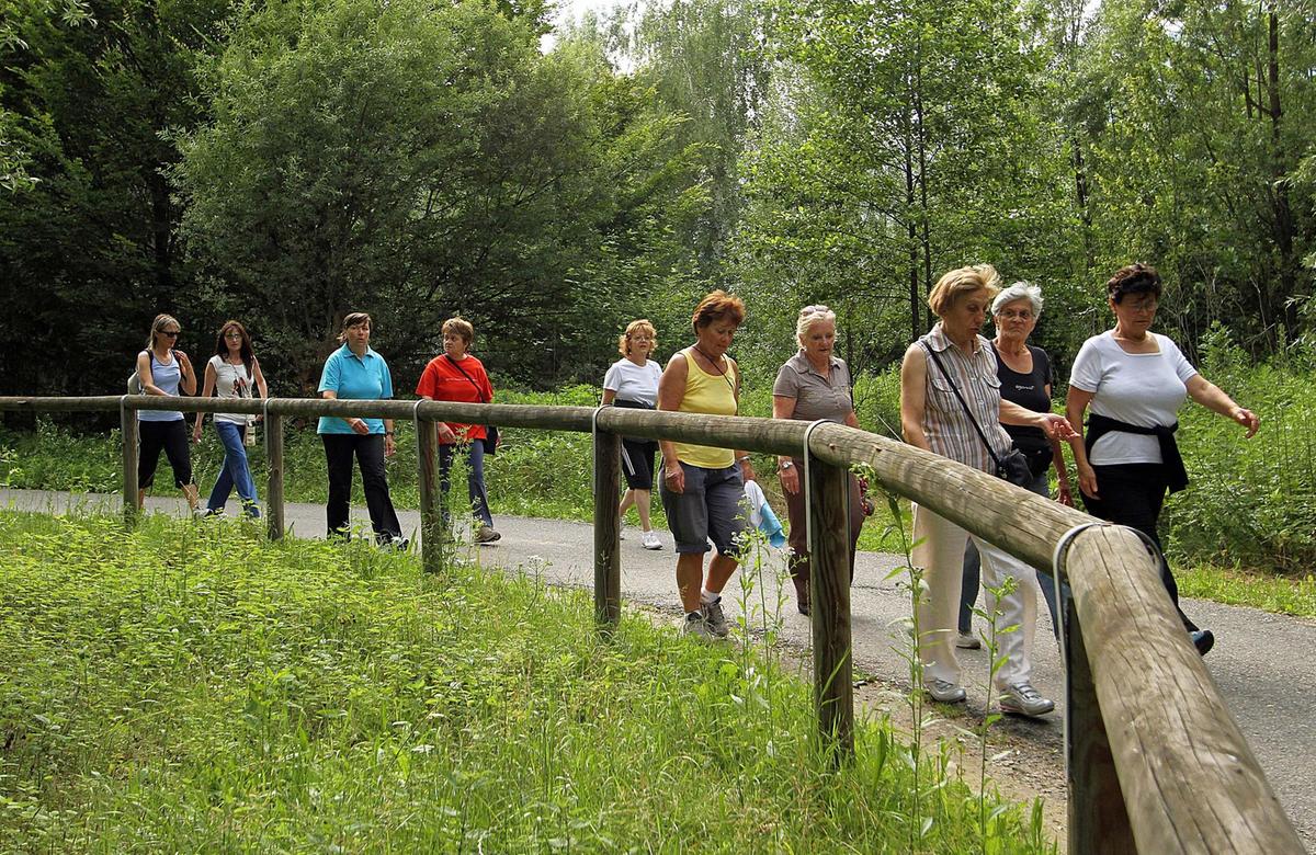 Gruppi di cammino. Cercasi conduttori Gruppi di cammino. Cercasi conduttori