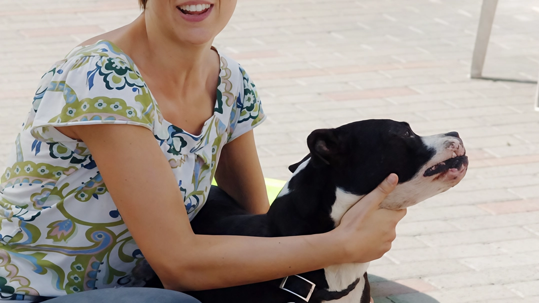 Un vademecum completo per viaggiare con il proprio animale domestico, redatto con l'associazione Gaia Animali & Ambiente di Peschiera Borromeo. Campagna contro l'abbandono degli animali in aumento, ma in calo il fenomeno diretto. Rifugio comunale con 9 cani in cerca di adozione. Un vademecum completo per viaggiare con il proprio animale domestico, redatto con l'associazione Gaia Animali & Ambiente di Peschiera Borromeo. Campagna contro l'abbandono degli animali in aumento, ma in calo il fenomeno diretto. Rifugio comunale con 9 cani in cerca di adozione.