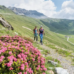 Stelvio, escursioni in quota per festeggiare i 200 anni del passo. Il calendario