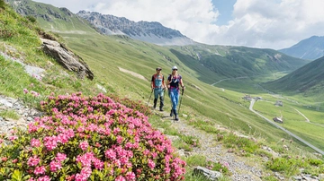 Stelvio, escursioni in quota per festeggiare i 200 anni del passo. Il calendario