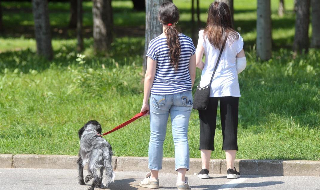 cane ucciso da un altro cane la sentenza del tribunale di brescia ai proprietari 1500 euro di risarcimento per la perdita e il dolore