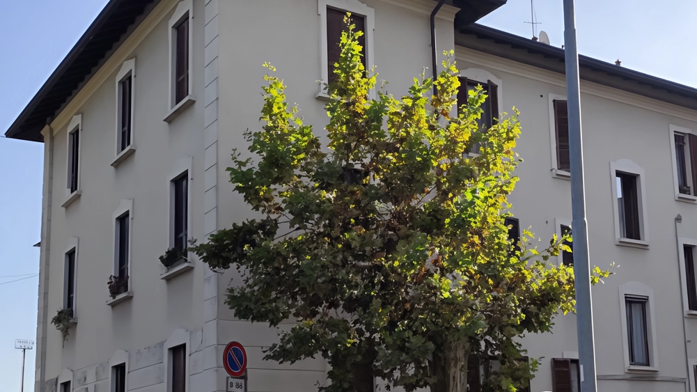Identificato guasto agli impianti di riscaldamento a Legnano, interventi in corso per risolvere il problema. Altri condomini alle prese con malfunzionamenti all'acquedotto. Disagi e proteste dei residenti. Identificato guasto agli impianti di riscaldamento a Legnano, interventi in corso per risolvere il problema. Altri condomini alle prese con malfunzionamenti all'acquedotto. Disagi e proteste dei residenti.