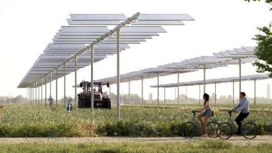 Mulazzano fa le barricate contro il parco agrivoltaico: “Ci strapperà un milione di metri quadri di territorio” Mulazzano fa le barricate contro il parco agrivoltaico: “Ci strapperà un milione di metri quadri di territorio”