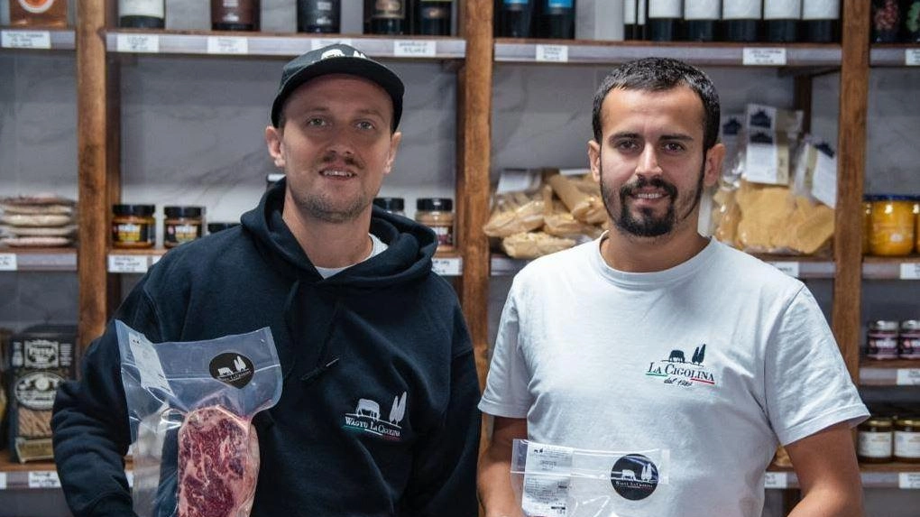 Gli esemplari giapponesi pascolano alla Cascina Cigolina, cuore della Bassa. I fratelli Gaboardi, dopo gli studi, sono tornati all’azienda: "Che orgoglio". Gli esemplari giapponesi pascolano alla Cascina Cigolina, cuore della Bassa. I fratelli Gaboardi, dopo gli studi, sono tornati all’azienda: "Che orgoglio".