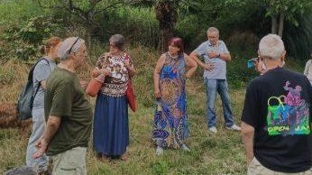 Per il Comitato “Salviamo gli alberi di Gallarate” il nuovo palazzetto dello sport che sorgerà nel rione di Moriggia... Per il Comitato “Salviamo gli alberi di Gallarate” il nuovo palazzetto dello sport che sorgerà nel rione di Moriggia...