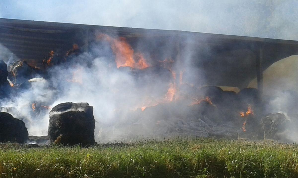 Incendio a Gorlago, in fiamme un fienile: mucche in salvo, danni ingenti a un capannone