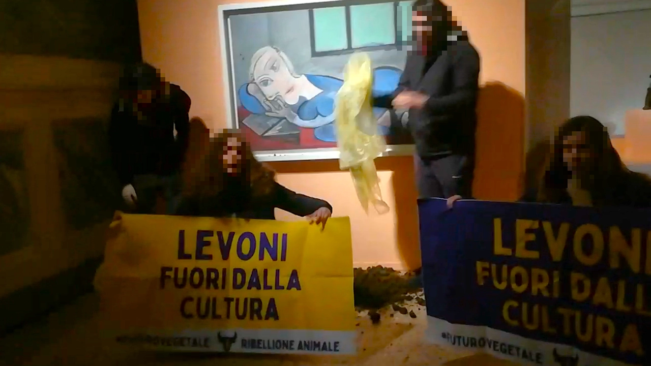 Un momento della protesta alla mostra di Picasso a Palazzo Te a Mantova (in una foto di Ribellione Animale) Un momento della protesta alla mostra di Picasso a Palazzo Te a Mantova (in una foto di Ribellione Animale)
