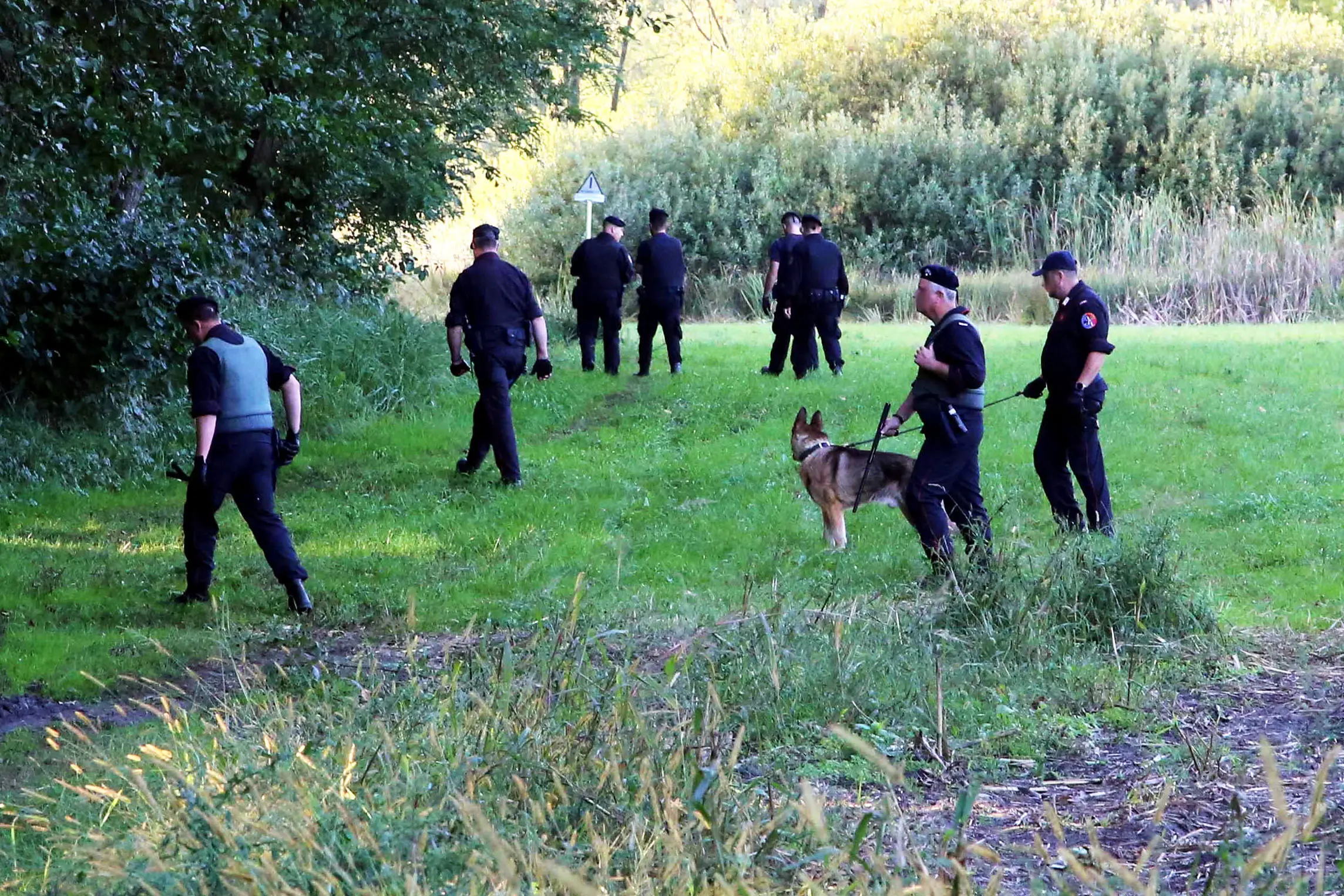 Sondrio, il market della droga era tutto in famiglia: coca alla tachiprina e i soldi messi in bottiglia