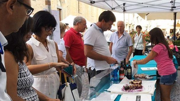 Domani in piazza Duomo va in scena la 45esima Sagra della Bertolina, dolce tipico contadino del Cremasco. Dalle 9 apriranno...