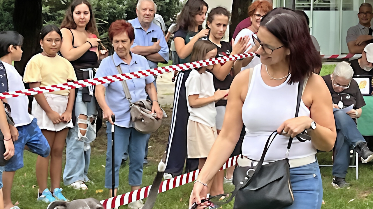 Quattrozampe protagoniste in Cascina Grande. Domani va in scena la terza edizione dell’evento dedicato al benessere degli animali promosso dall’amministrazione... Quattrozampe protagoniste in Cascina Grande. Domani va in scena la terza edizione dell’evento dedicato al benessere degli animali promosso dall’amministrazione...