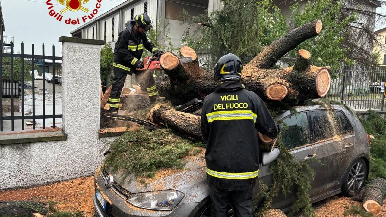 I vigili del fuoco al lavoro sull'auto travolta dall'albero I vigili del fuoco al lavoro sull'auto travolta dall'albero