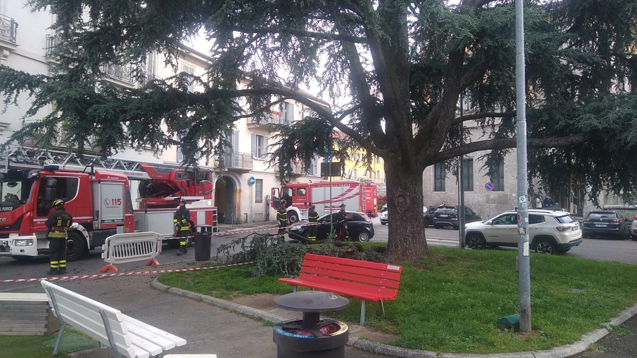 vigili del fuoco intervento per ramo spezzato Monza vigili del fuoco intervento per ramo spezzato Monza