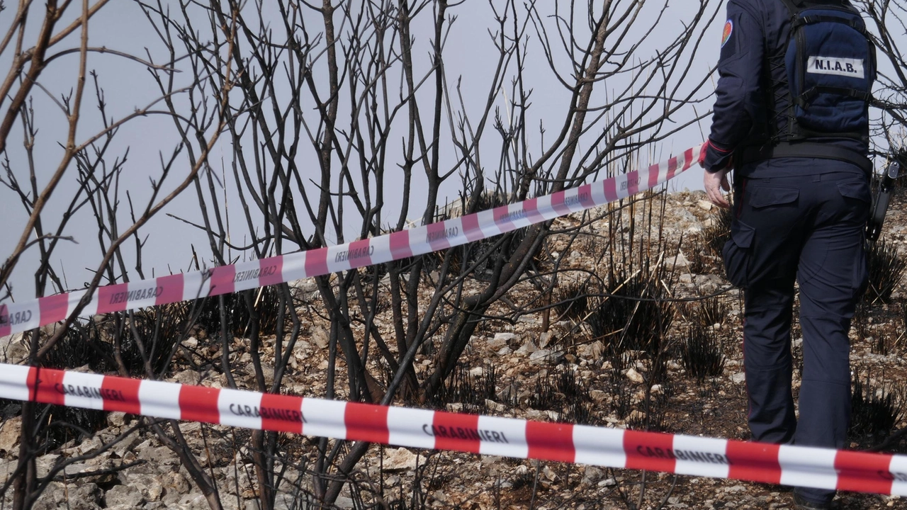 L’operazione è del Gruppo carabinieri Forestali di Brescia e della Polizia ferroviaria L’operazione è del Gruppo carabinieri Forestali di Brescia e della Polizia ferroviaria