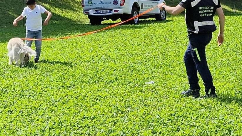 protezione civile e scuole a lezione di emergenza e soccorso