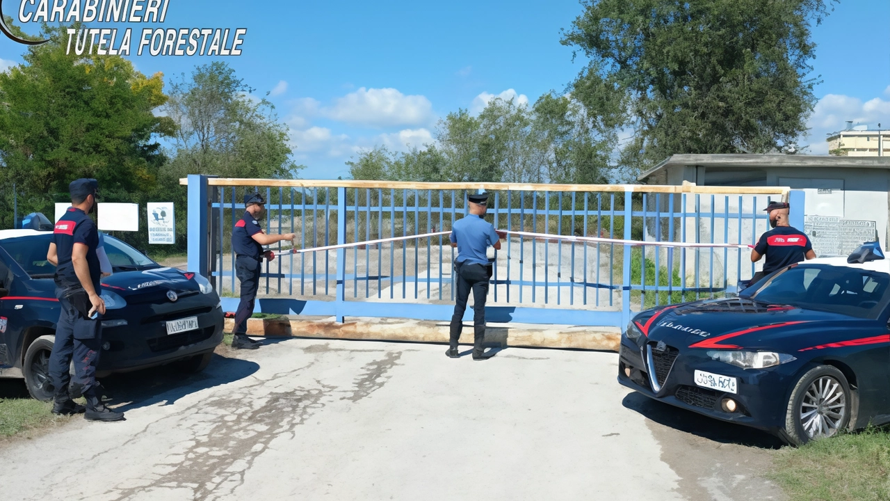 L’operazione nella Bassa Bresciana è stata eseguita dai carabinieri forestali L’operazione nella Bassa Bresciana è stata eseguita dai carabinieri forestali