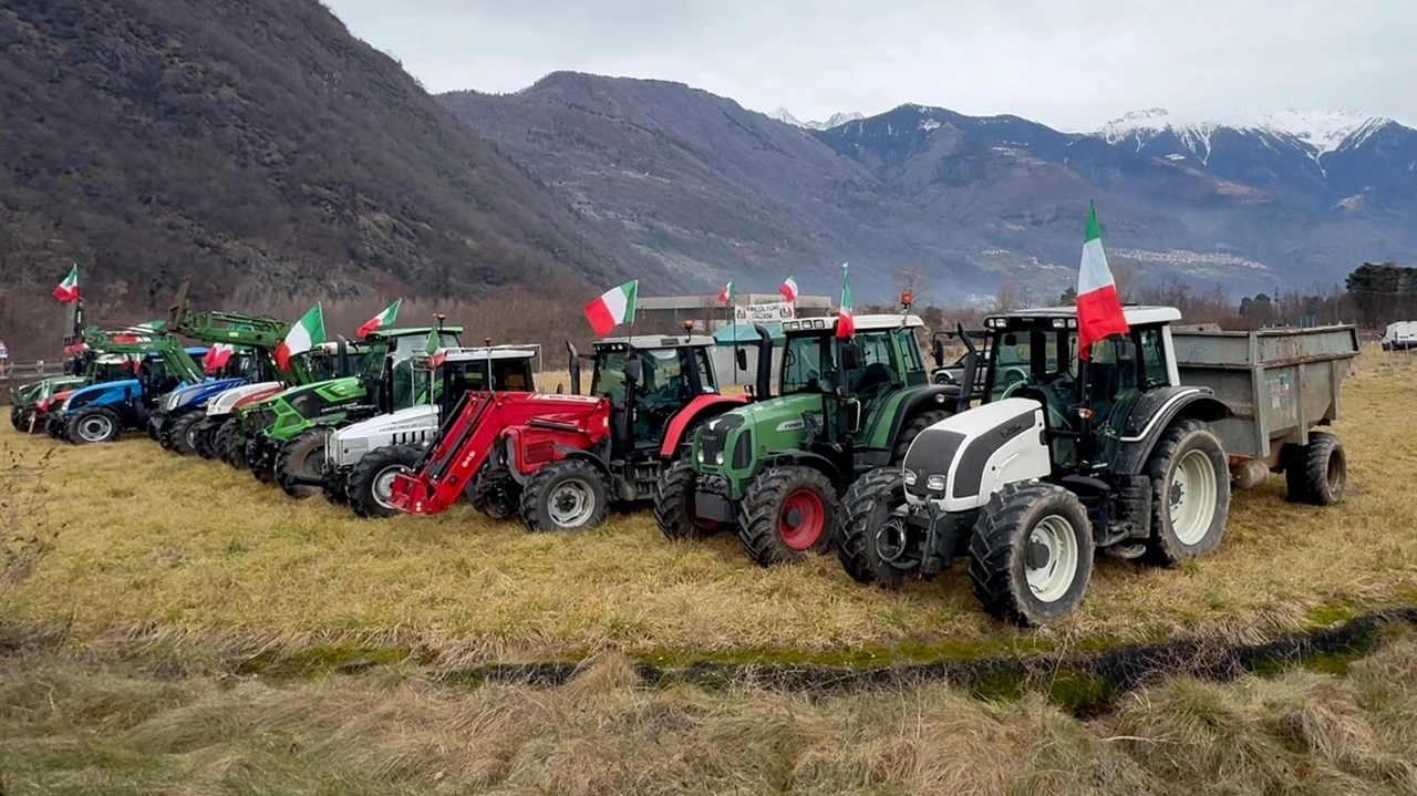 In molti li avranno notati in questi giorni e oggi i trattori schierati a Talamona, alla rotonda del Tartano, saranno... In molti li avranno notati in questi giorni e oggi i trattori schierati a Talamona, alla rotonda del Tartano, saranno...