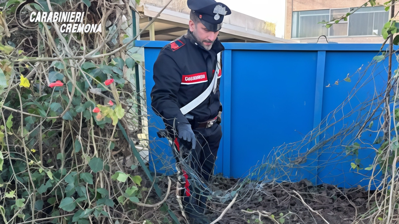 Furto sventato in azienda di cosmetica a Madignano: ladri fuggono abbandonando la merce. Indagini in corso per identificare i responsabili.