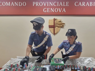 immagine articolo