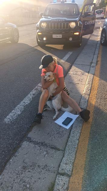 Giorni di ansia per il cane Mattel: il finale inaspettato della scomparsa del piccolo meticcio nel tunnel della Sebina