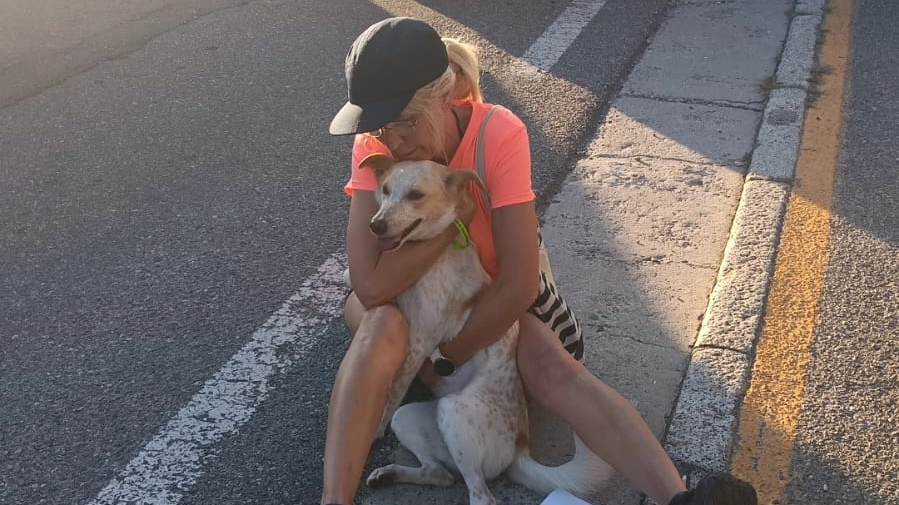 Il cane Mattel e la sua padrona