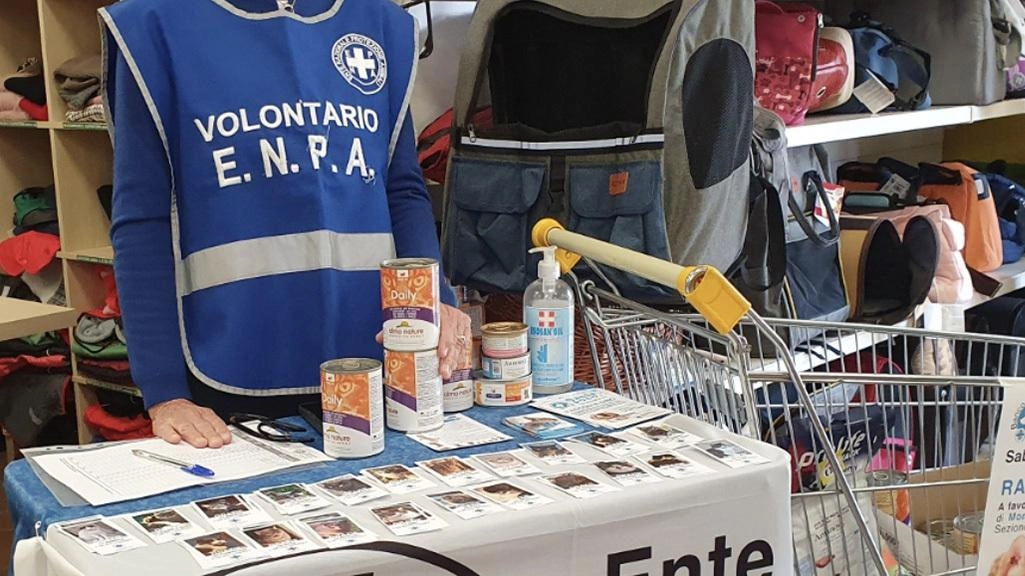 Le lattine di cibo per gatti preferibilmente in umido da 400 grammi vanno consegnate ai volontari Enpa all’uscita del negozio