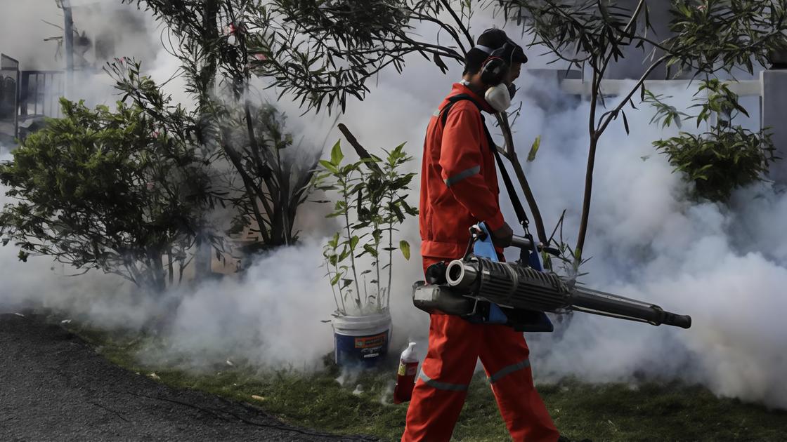 lotta alla zanzara tigre un8217altra disinfestazione