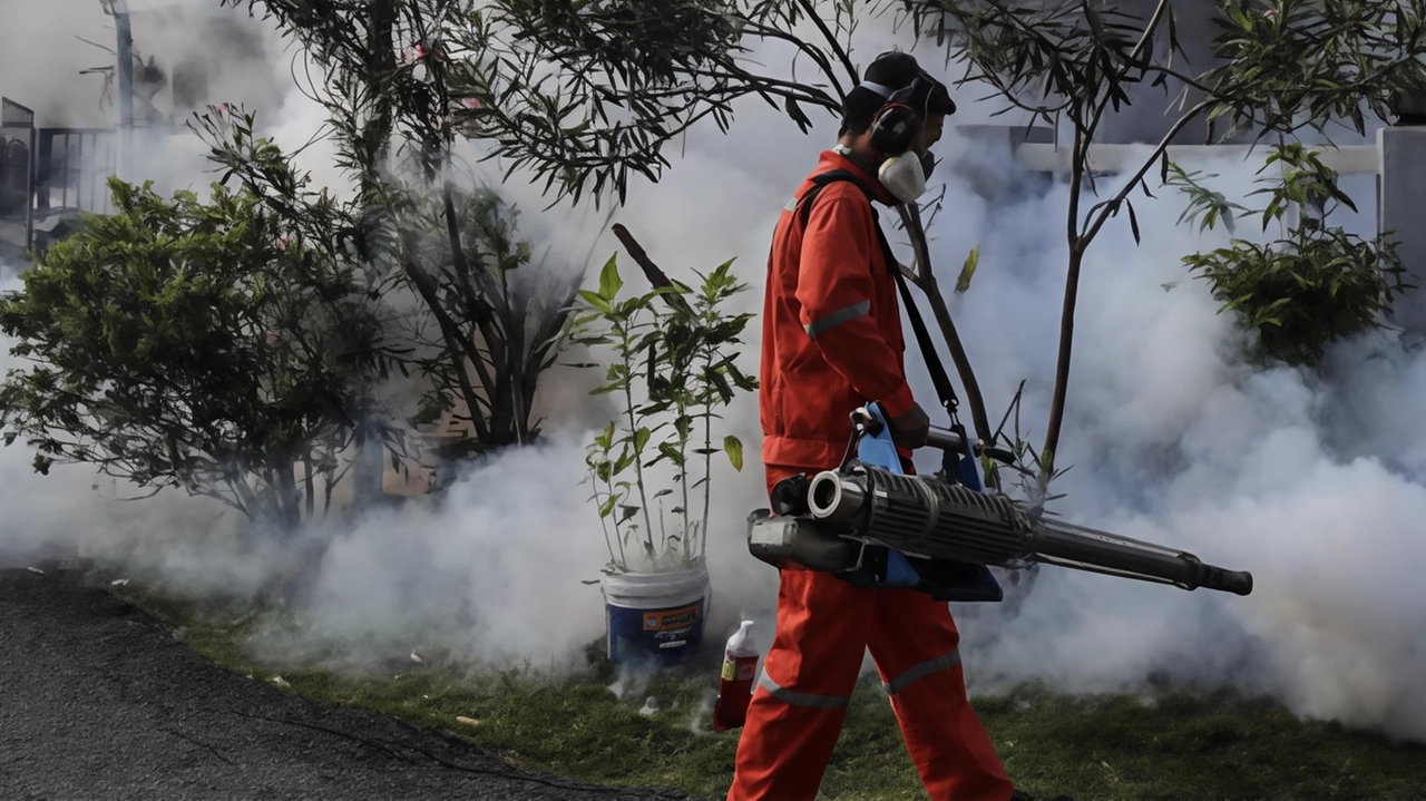 La disinfestazione è prevista a San Donato per tre serate dalle 18 alle 24 La disinfestazione è prevista a San Donato per tre serate dalle 18 alle 24