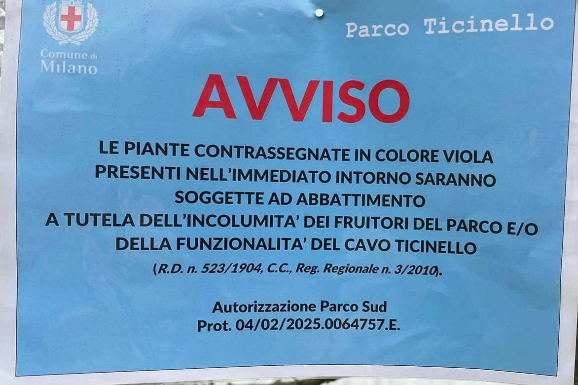 Il cartello affisso su uno degli alberi destinati a essere tagliati