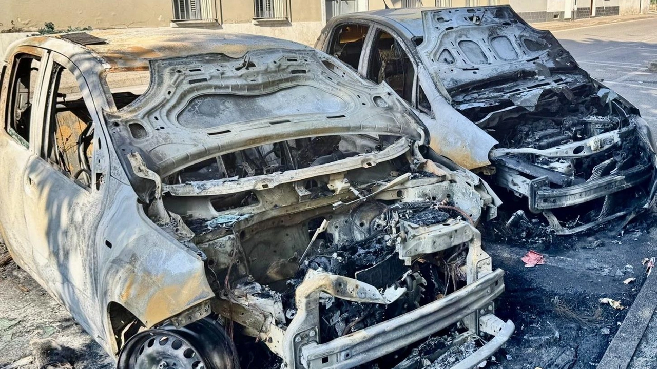 Aveva dato a fuoco alla sua auto a noleggio ma le fiamme si erano propagate Aveva dato a fuoco alla sua auto a noleggio ma le fiamme si erano propagate