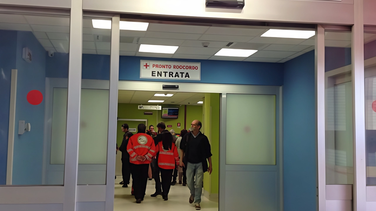 Il 15 novembre la donna era finita in Pronto soccorso Per calmare il figlio si era reso necessario l’intervento dei carabinieri Il 15 novembre la donna era finita in Pronto soccorso Per calmare il figlio si era reso necessario l’intervento dei carabinieri