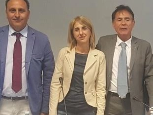 immagine articolo