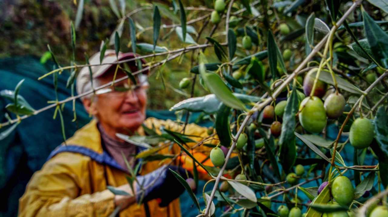 Appuntamento a Morbegno per il bilancio annuale