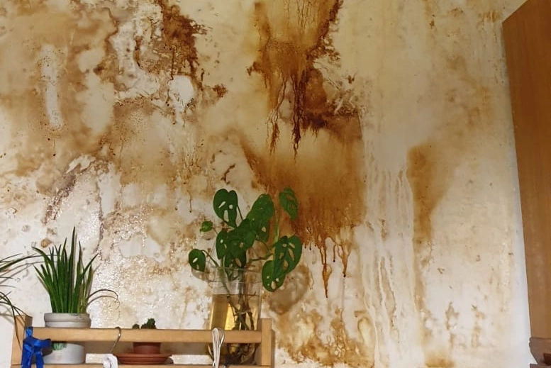 Un muro all'interno di un appartamento divorato da muffe e infiltrazioni