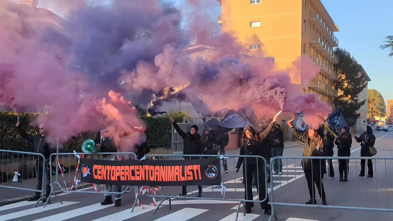 Finisce in protesta la rievocazione di Sant’Antonio. L’area intorno alla storica chiesetta del quartiere Prealpi si è trasformata in un... Finisce in protesta la rievocazione di Sant’Antonio. L’area intorno alla storica chiesetta del quartiere Prealpi si è trasformata in un...