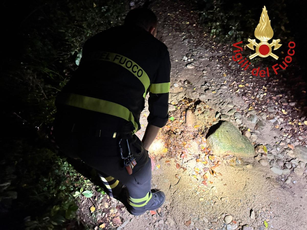Lipomo, dal bosco spunta un ordigno bellico inesploso: area messa in sicurezza Lipomo, dal bosco spunta un ordigno bellico inesploso: area messa in sicurezza