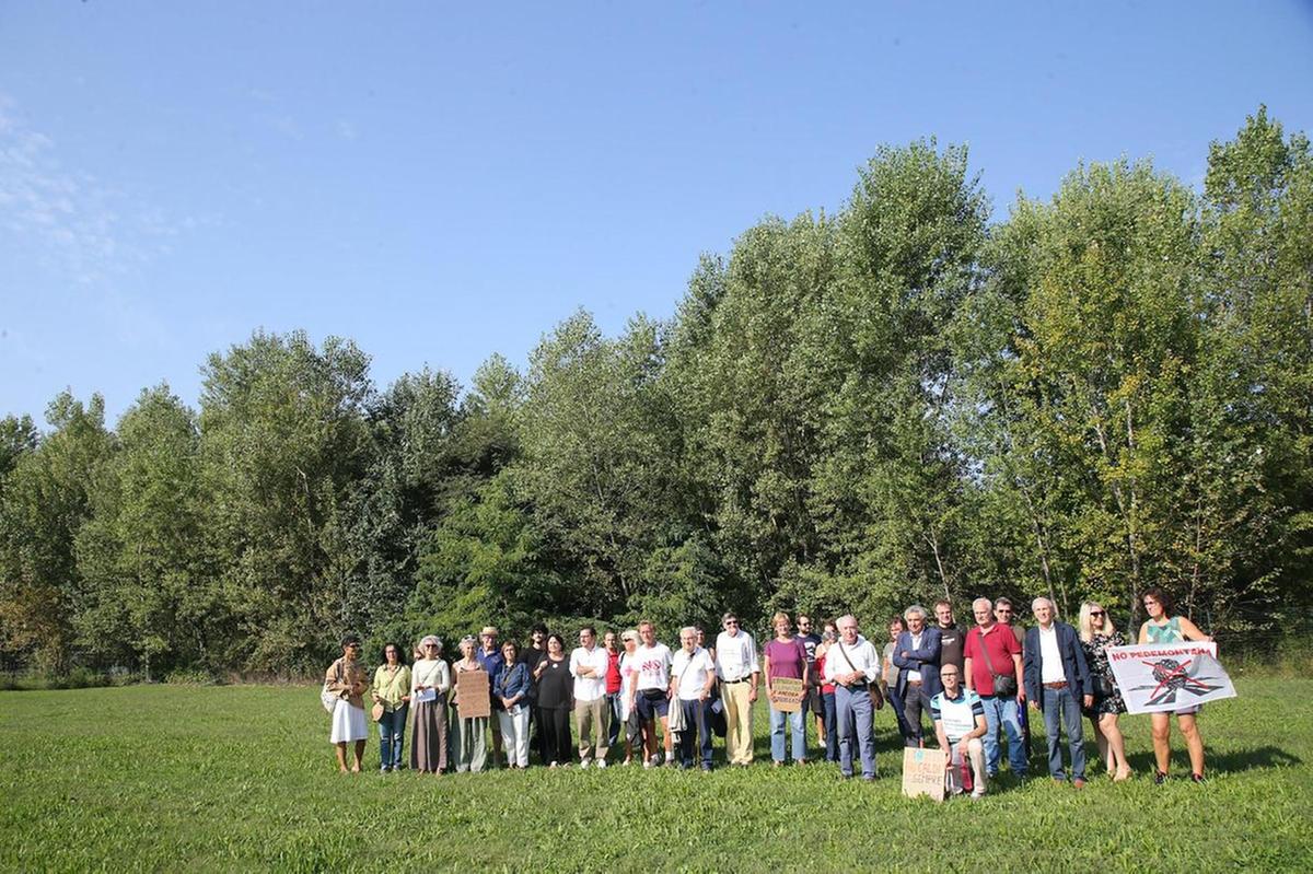 Il presidio in Provincia: "No al taglio del bosco. Lo studentato va spostato"
