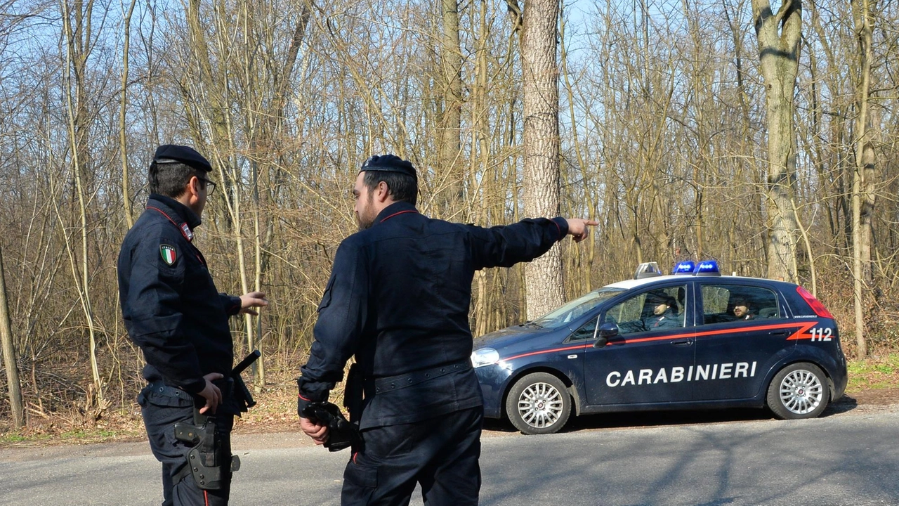 A effettuare il rinvenimento sono stati i proprietari di un vecchio casolare diroccato e abbandonato nei boschi di Prestallo