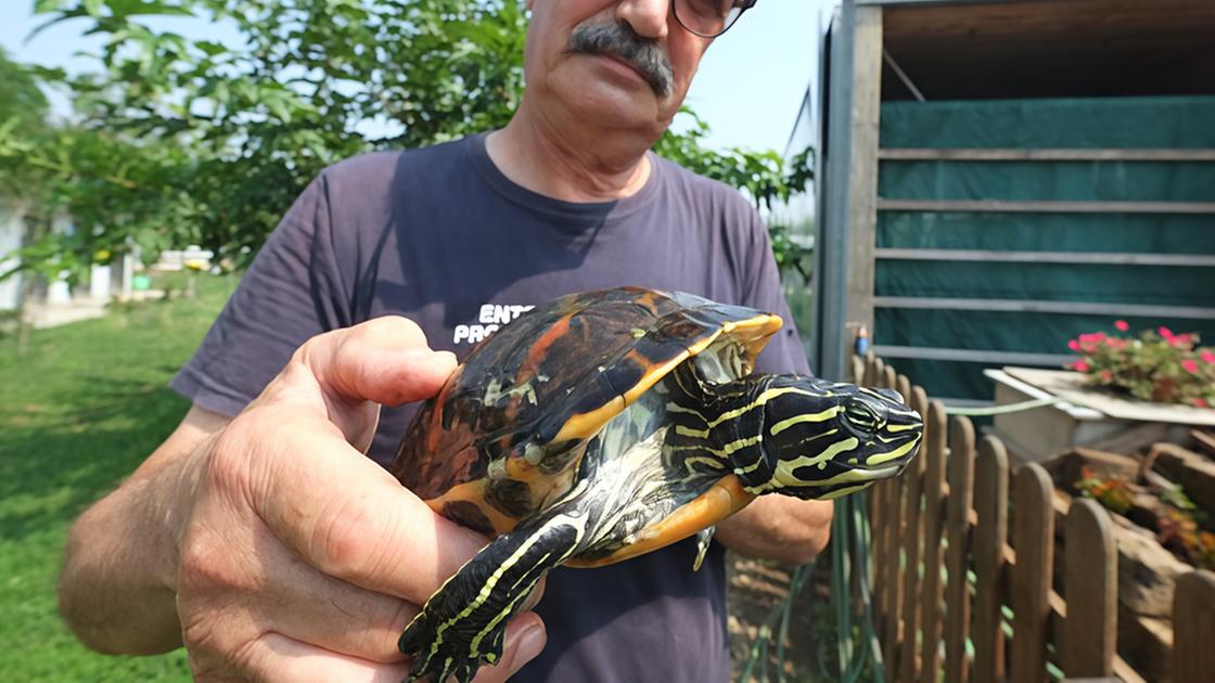 L’oasi “perduta” dell’Enpa. Animali esotici e come allevarli L’oasi “perduta” dell’Enpa. Animali esotici e come allevarli