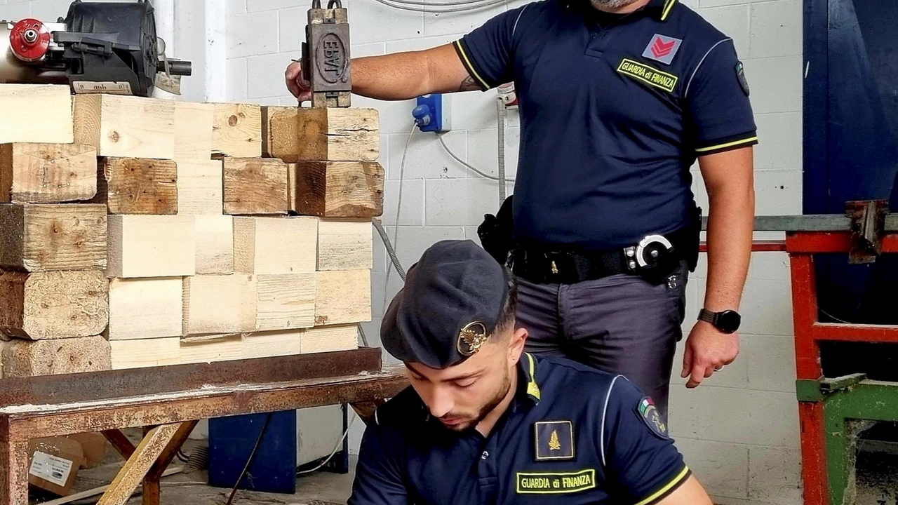 Nel deposito erano stoccate 170 tonnellate di legname pronto ad essere impiegato in ulteriori fabbricazioni illecite Nel deposito erano stoccate 170 tonnellate di legname pronto ad essere impiegato in ulteriori fabbricazioni illecite
