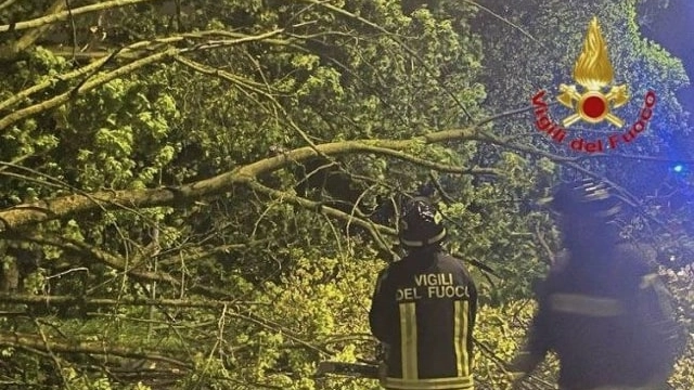 Vigili del fuoco impegnati a San Genesio Vigili del fuoco impegnati a San Genesio