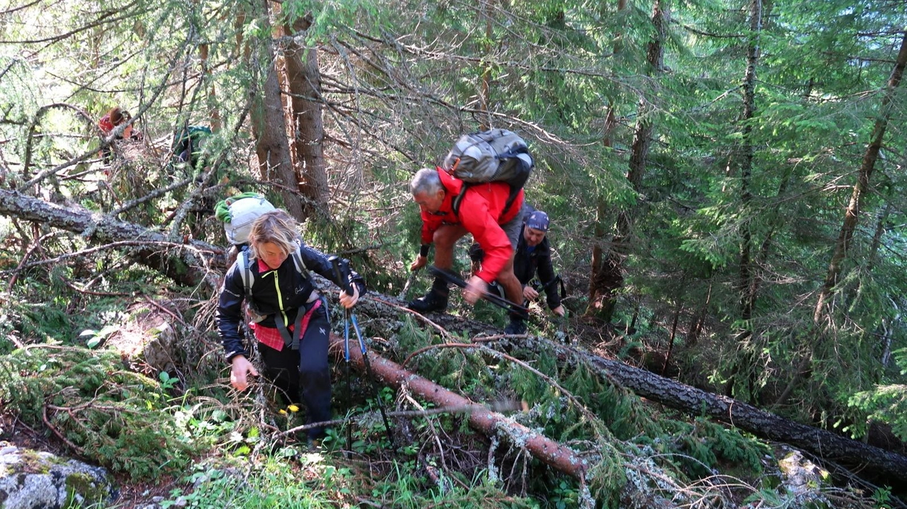 Il ciclone causò il più grave disastro forestale mai avvenuto in Italia. Tra i territori maggiormente feriti, i Colli di San Zeno nel Bresciano. Il ciclone causò il più grave disastro forestale mai avvenuto in Italia. Tra i territori maggiormente feriti, i Colli di San Zeno nel Bresciano.