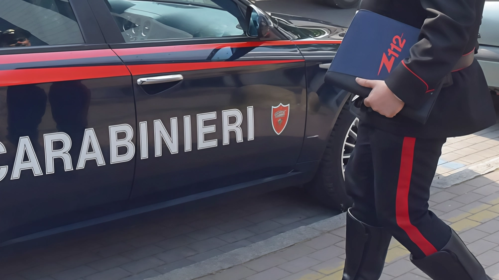 Una 63enne aggredita a Voghera per l'incasso della stazione di servizio. Carabinieri indagano sull'accaduto. Una 63enne aggredita a Voghera per l'incasso della stazione di servizio. Carabinieri indagano sull'accaduto.